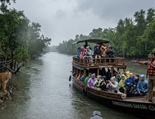 Sundarban Package Tour: Discover Nature, Culture and Comfort During the Monsoon