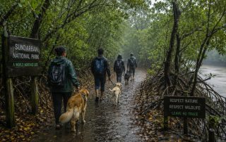 Homestays in Sundarbans