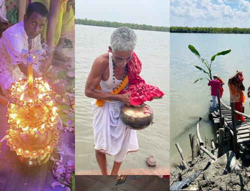 Luxury Sundarban Tour This Durga Puja: Discover Anahita River Retreat
