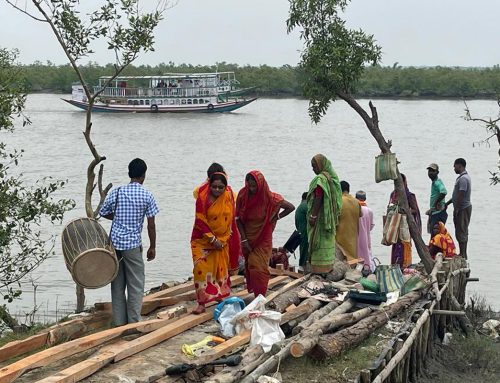 Sundarban Private Tour Packages From Kolkata This Durga Puja